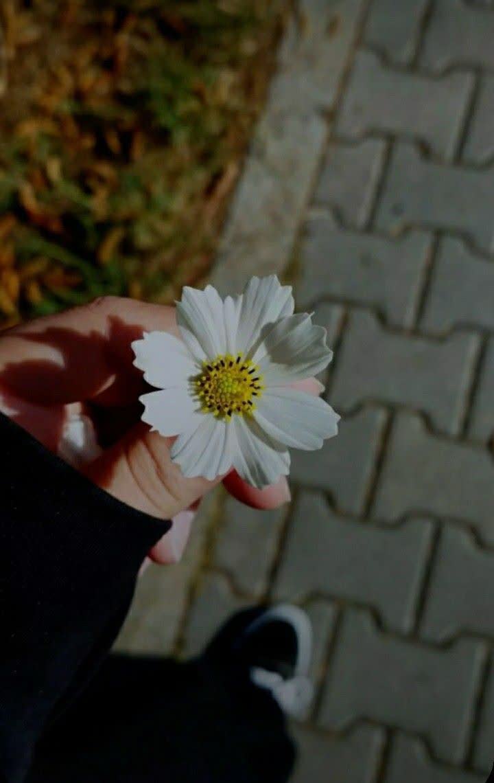 48
