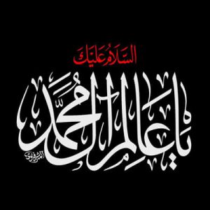 چرا لقب عالم آل محمد| لقبی فراتر از کلمه علم